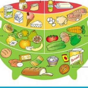 Olla Nutricional Trivias Juego Educativo Salud Mobbyt