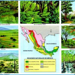 Las Regiones Naturales Juego Educativo Geograf A Mobbyt