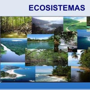 Biodiversidad De Los Ecosistemas Ocas Juego Educativo Ciencias