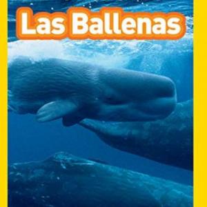 Las Ballenas Ocas Juego Educativo Ciencias Mobbyt