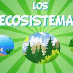 Ecosistemas Memorias Juego Educativo Ciencias Mobbyt