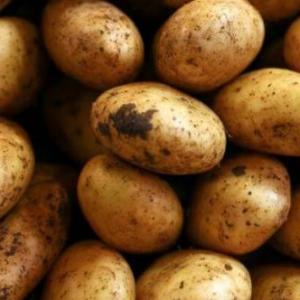 Alimentos y nutrientes