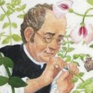 Genética Mendeliana