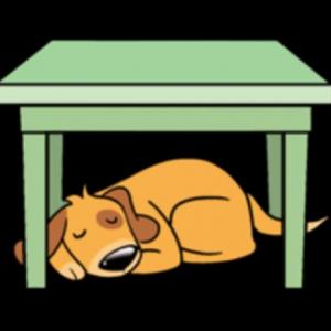 Portada del juego Perritos – Idiomas