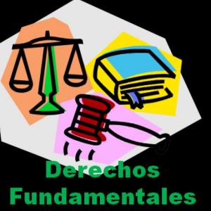 Derechos Fundamentales