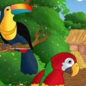 LA NATURALEZA SE ORGANIZA
