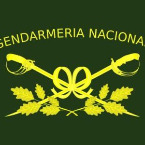 Organización de GNA