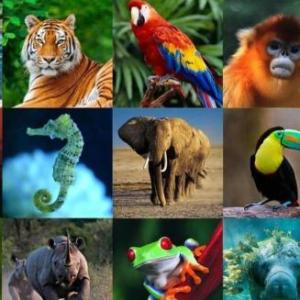 Ciencia y ambiente