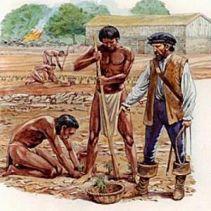 LAS ENCOMIENDAS