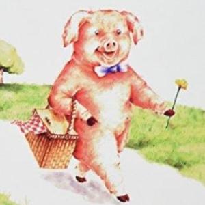 ¡Encuentra a don chancho y a sus amigos!