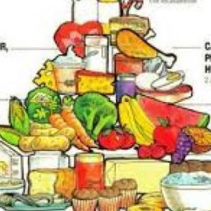 Los alimentos y sus componentes
