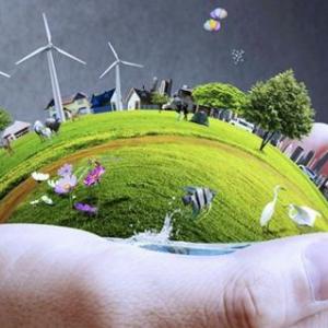 JUEGO DE OCAS VALORES AMBIENTALES
