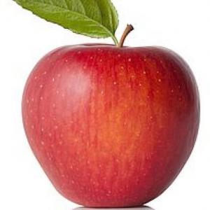 APPLE TREE CYCLE