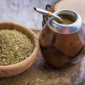 YERBA MATE