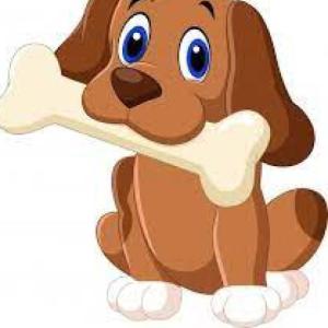 dog gamee