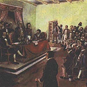 I° Medio preguntas clase grabada (organización de la nación)
