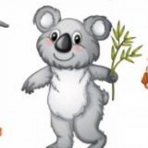 Animales terrestres