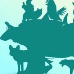 ¿SOS CAPAZ DE DESCUBRIR QUE ANIMAL ES?
