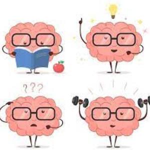 Imagen de portada del videojuego educativo: Conociendo el cerebro, de la temática Ciencias