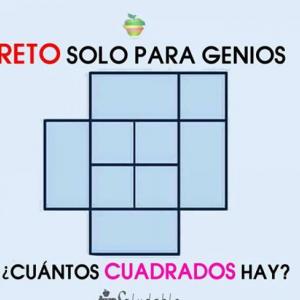 MEMO-E.D.