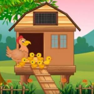 Cuento "El pollito desobediente"