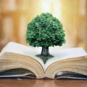 PROVERBS