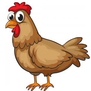 Procesos en aves de engorde y postura.