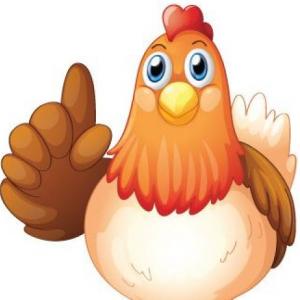 Pollos de engorde
