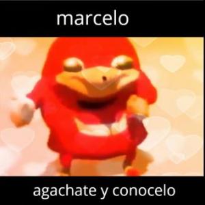 Portada del juego FACTORIZACION – Matemáticas