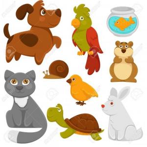 La oca de los animales