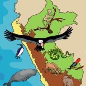 Recordemos la Fauna del Perú