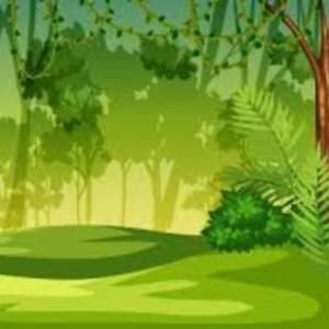 Encontramos a los animales de la selva