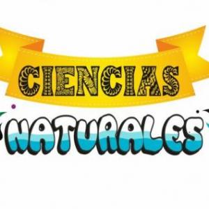 PIENSA Y ACIERTA