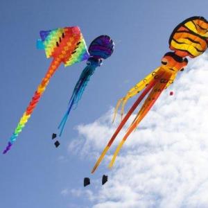 A VOLAR BARRILETES!!
