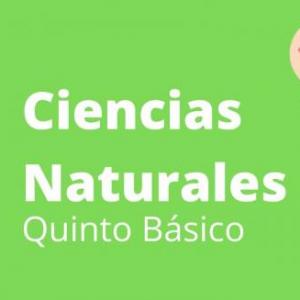 Juego cientifico de ciencias
