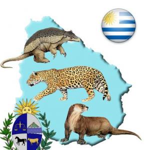 Imagen de portada del videojuego educativo: Animales en peligro de Extinción, de la temática Medio ambiente