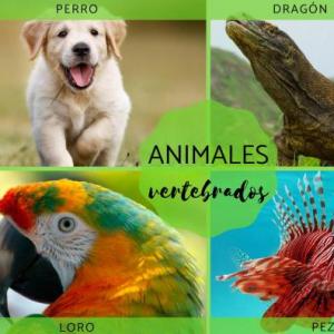 Los vertebrados
