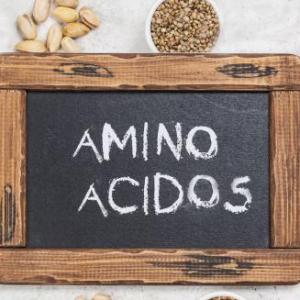 Los Aminoacidos