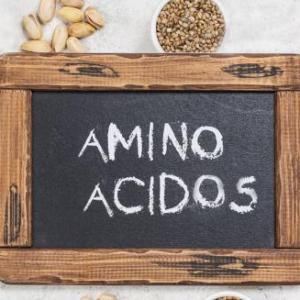 Los Aminoacidos