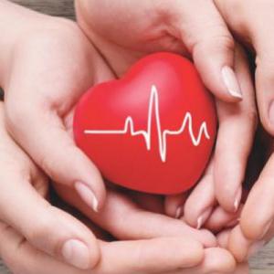 TRAJETAS DE COMPORTAMIENTO Y SALUD