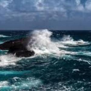 Les animaux de la mer