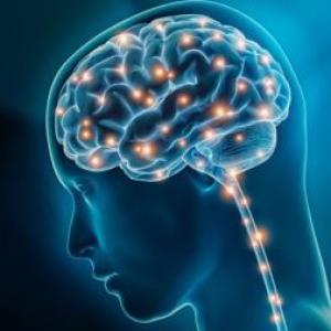 Imagen de portada del videojuego educativo: Neuropsicología, de la temática Salud