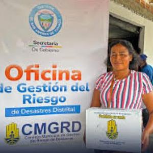 Actores internacionales y nacionales que intervienen en la gestión de riesgos de desastres