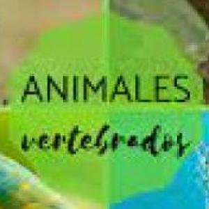 Reino Animal