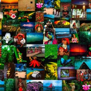 Imagen de portada del videojuego educativo: Conceptos Básicos de Turismo 1, de la temática Viajes y turismo