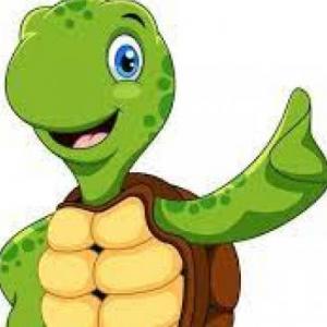 Memoria Tortuga