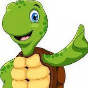 Memoria Tortuga