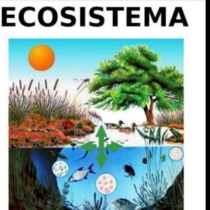 Ecosistemas y cadenas alimentarias