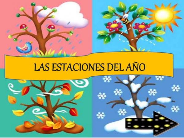 Estacion del año