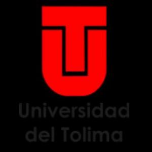 las lectoras universidad del tolima
